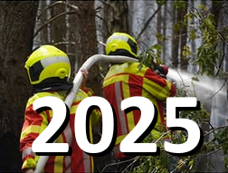 2025